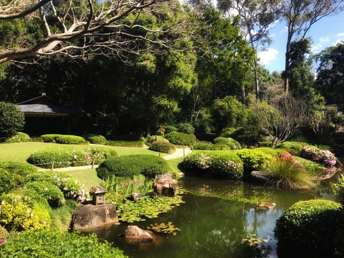 Garden,In,Mt,Coot,Tha,,Brisbane,,Australia