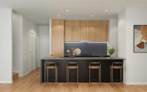 ALBA Residences Unit Type B GF Kitchen HR
