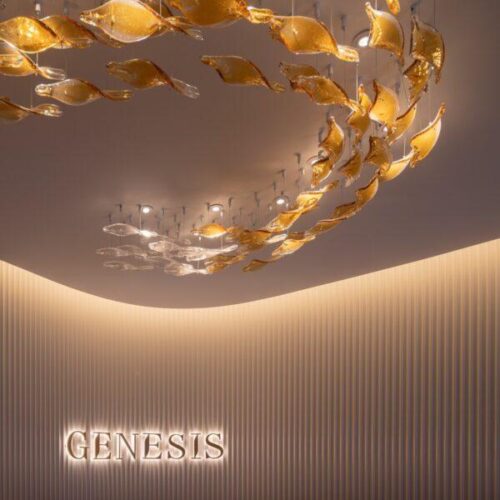 WhatsApp Image 2025-12-31 at 11.54.03