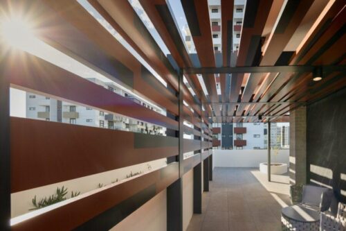 WhatsApp Image 2025-12-31 at 11.54.12